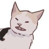 192x192