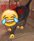 1080x1283