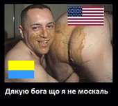 500x455