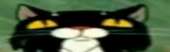 1280x399