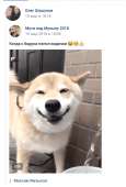 534x789