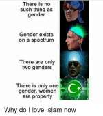 500x566