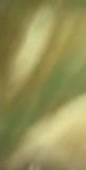 326x640