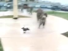 480x360