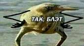 480x266