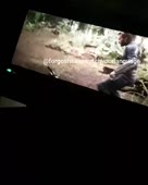 640x800