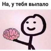 411x411