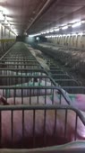 202x360
