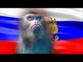 640x480