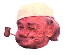 556x458