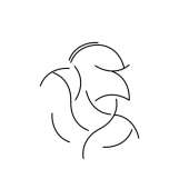 900x900