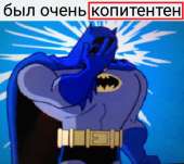 520x462