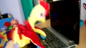 1280x720