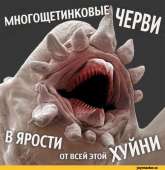 500x514