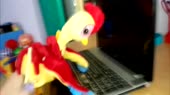 1280x720