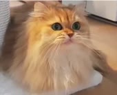 360x292