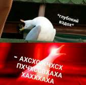 600x592