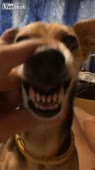 406x720