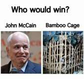 500x495