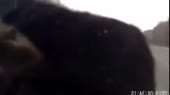 420x236