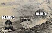 600x385