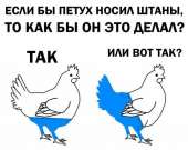 604x481