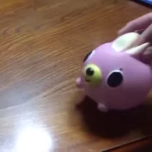 360x360