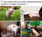 960x869