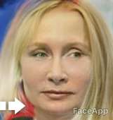 426x448