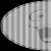 256x256