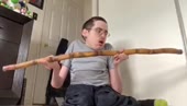 460x264
