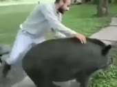 360x270