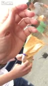 406x720