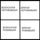 500x500