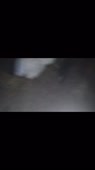 406x720