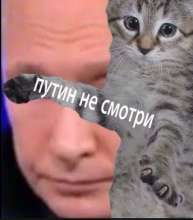 320x363