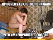 598x462
