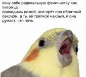 700x631