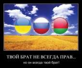 457x380