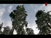 480x360