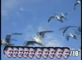 490x360