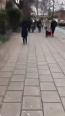 204x360