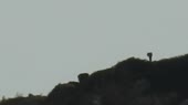 1280x720