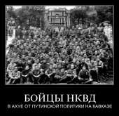 800x777