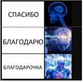 500x493