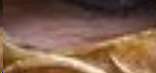 156x73