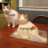 500x500