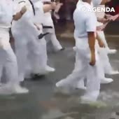 720x720