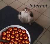 554x486