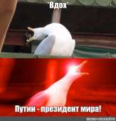 500x520